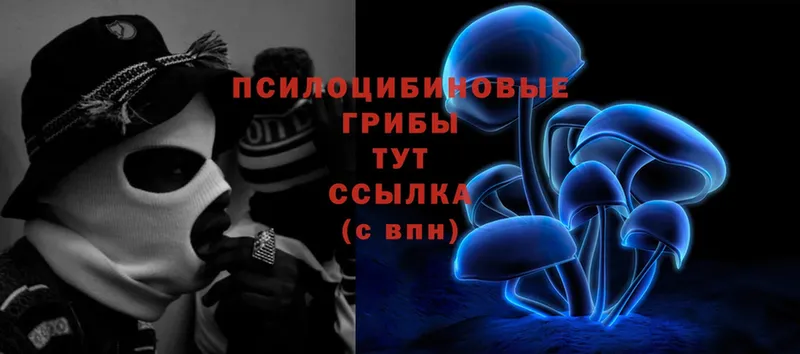 Псилоцибиновые грибы Magic Shrooms  ОМГ ОМГ зеркало  darknet официальный сайт  Ак-Довурак 